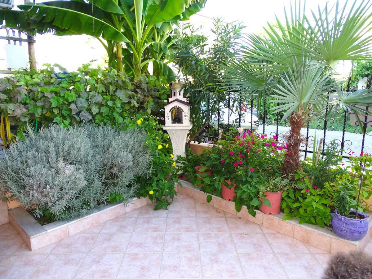 Socrates Apartments Olympiakí Aktí المظهر الخارجي الصورة